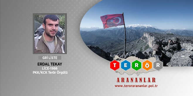 Gri kategorideki terörist etkisiz hale getirildi