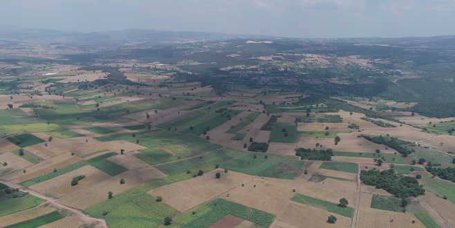 Bursa’da 55 bin 810 dekar alana tapu