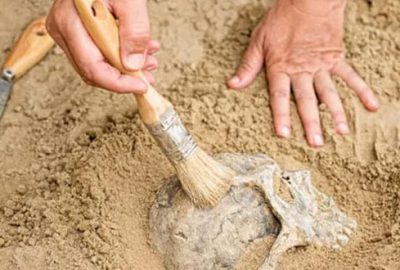 İnsan neslini sona erdirecek 3 büyük tehlike!