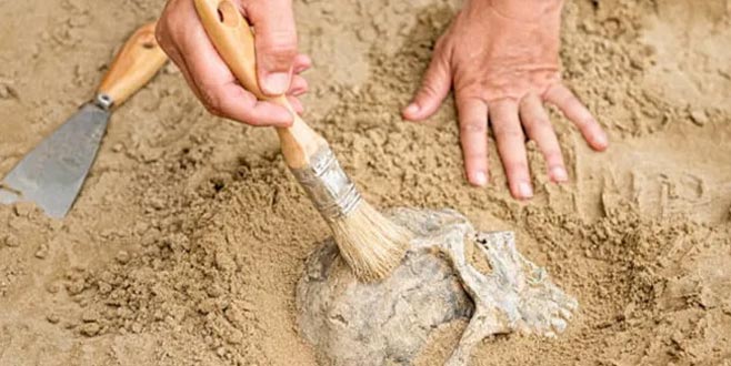 İnsan neslini sona erdirecek 3 büyük tehlike!