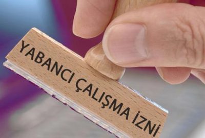 165 ülkeden çalışma izni başvurusu