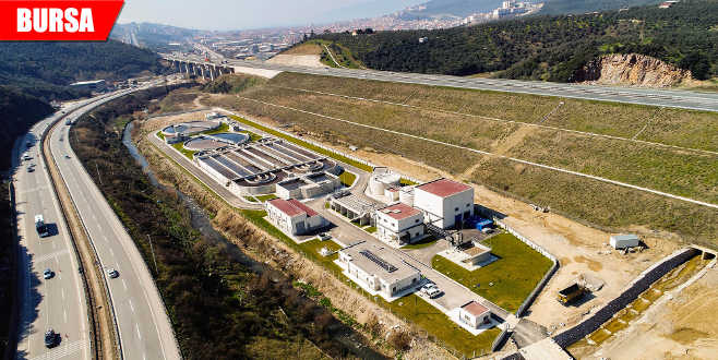 Körfez hayat buluyor