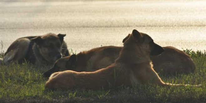 Bursa’da duygulandıran anlar
