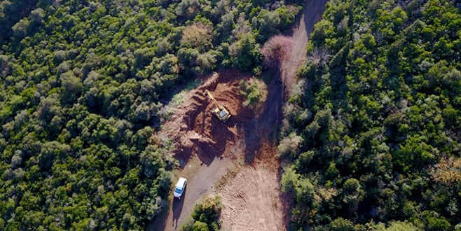 Adalar’da ruam hastalığına yakalanan 81 at itlaf edildi