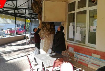 Köylüyü şoke eden hırsızlık