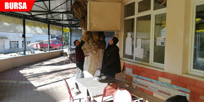 Köylüyü şoke eden hırsızlık Köylüyü şoke eden hırsızlık