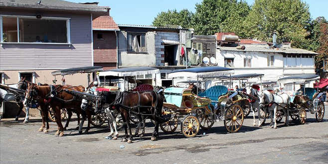 Adalar’da flaş karar! 3 ay süreyle durduruldu
