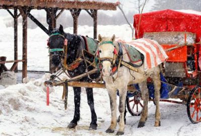 Büyükada’dan sonra Abant’ta da ‘Ruam’ karantinası
