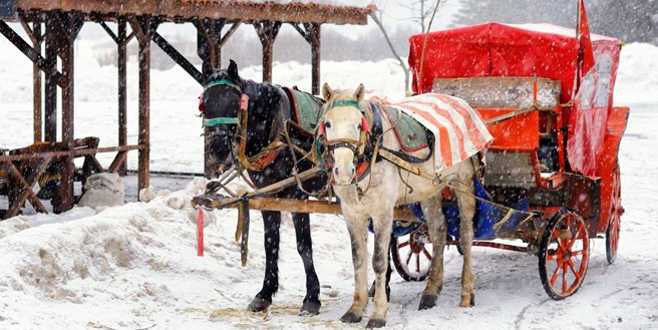Büyükada’dan sonra Abant’ta da ‘Ruam’ karantinası