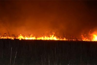 İznik Gölü kıyısı alev alev