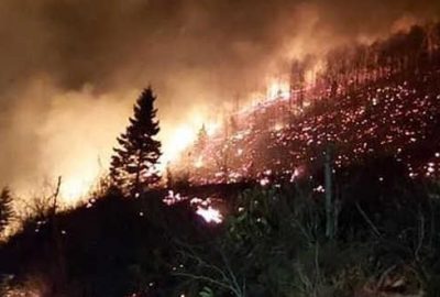 Karadeniz’de 4 ilde yangın