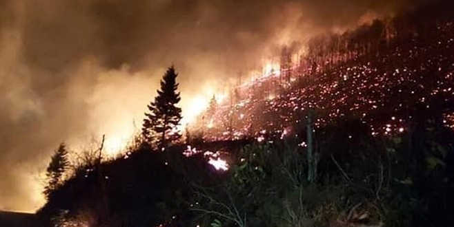 Karadeniz’de 4 ilde yangın