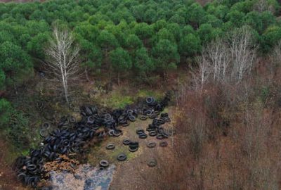 Ormanı lastik tarlasına çevirmişler!
