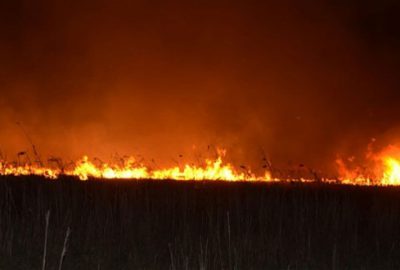 Karadeniz’deki yangınlarla ilgili açıklama