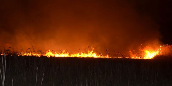 Karadeniz’deki yangınlarla ilgili açıklama
