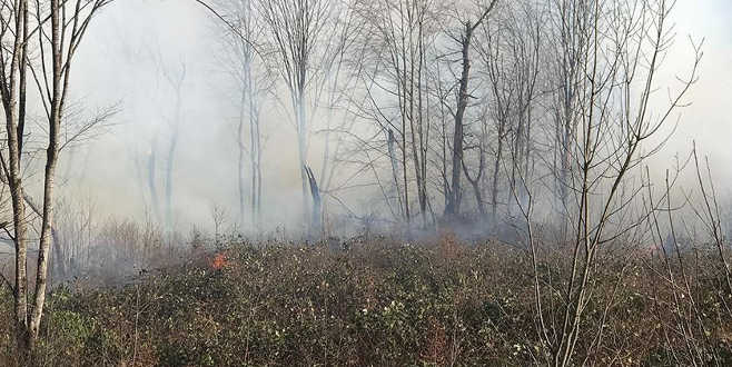 Trabzon’daki yangınlarla ilgili 7 kişi hakkında soruşturma