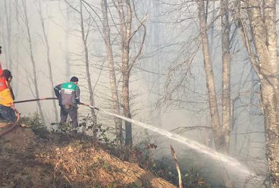 Karadeniz’de iki günde 150 noktada yangın