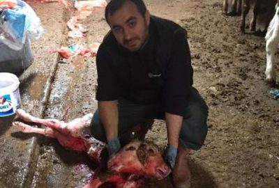 Şaşırtan olay! İlk kez böyle bir durumla karşılaştı…