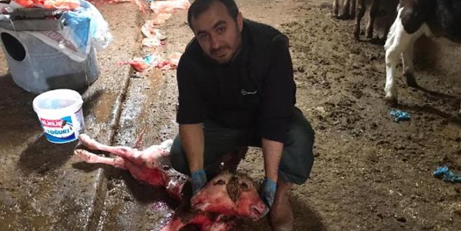 Şaşırtan olay! İlk kez böyle bir durumla karşılaştı…