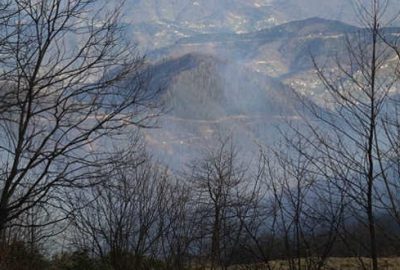 Karadeniz’deki yangınlar tamamen kontrol altında