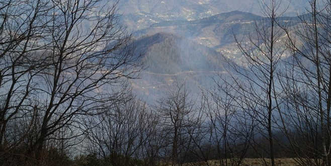 Karadeniz’deki yangınlar tamamen kontrol altında