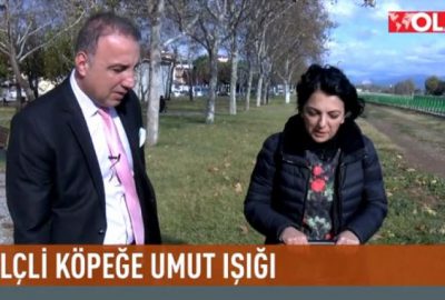 Felçli köpek Bıdık’a umut ışığı