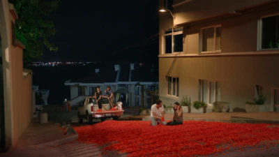 Gül döktüm yollarına