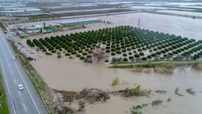 Şiddetli yağış sele neden oldu: 40 kişi kurtarıldı