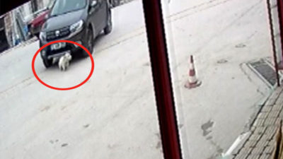 Bursa’da vahşetin böylesi!