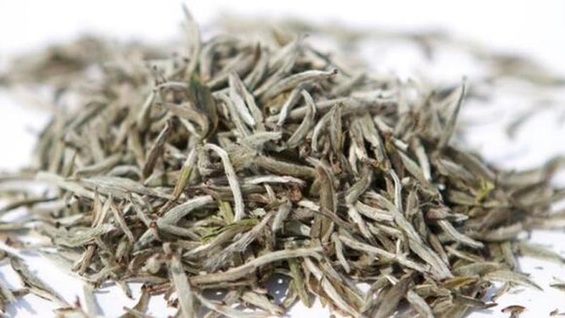 Beyaz çayın mucizevi faydaları