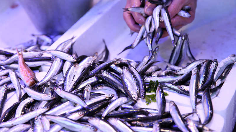 Bursa pazarında son durum! İşte fiyatlar