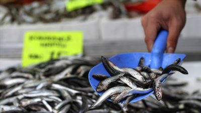Havanın ısınmasıyla hamsi fiyatı düştü