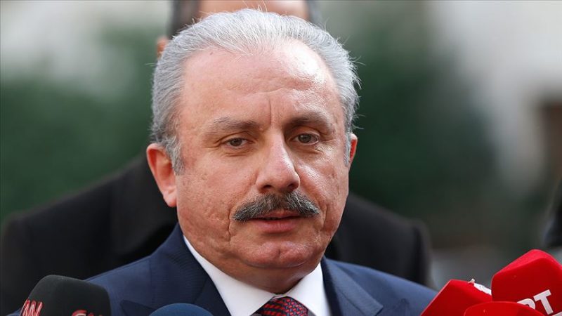 TBMM Başkanı Mustafa Şentop, Trump'ın sözde Orta Doğu barış planıyla