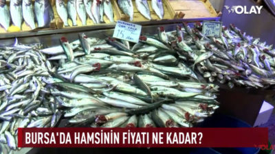 Bursa’da hamsinin fiyatı ne kadar?