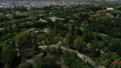 Ayıların uykusu kaçtı