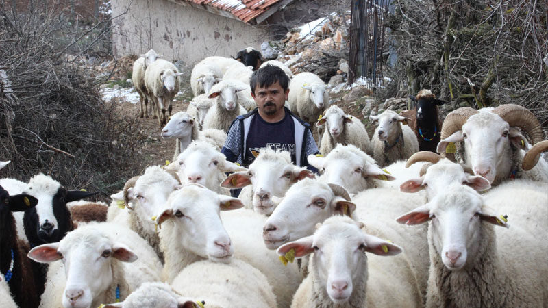 Bursa'nın Büyükorhan ilçesinin Geynik köyünde doğan ve boyu 80 santim