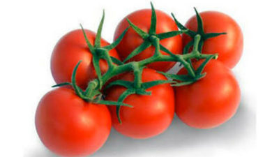 Rusya domateste kotayı 200 bin tona çıkardı