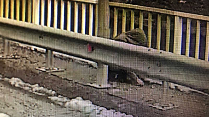 Gülistan’a ait son görüntü iddiası