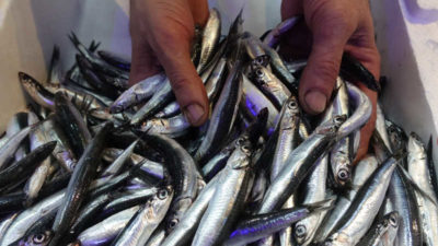 Su ürünlerinden 1 milyar dolar