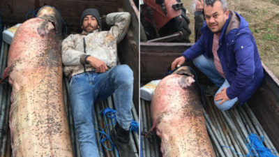 İznik Gölü’nde yakaladılar! Tam 120 kilo…