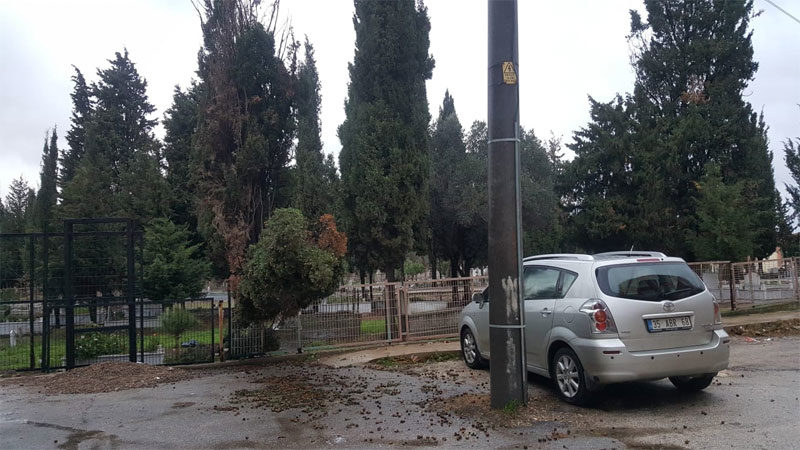Karacabey’de fırtına ağaçları devirdi Karacabey ilçesinde yağışla etkili olan fırtına, bazı ağaçların devrilmesine neden