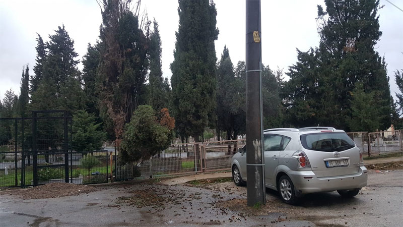 Karacabey’de fırtına ağaçları devirdi Karacabey’de fırtına ağaçları devirdi