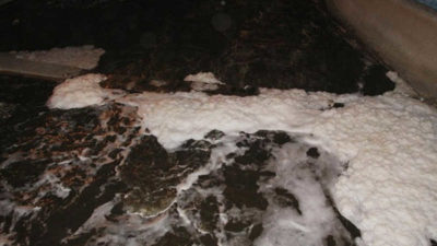 Oltu Çayı’nda kimyasal atık şüphesi