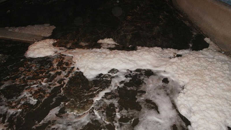 Oltu Çayı’nda kimyasal atık şüphesi