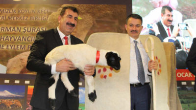 Haycancılığa 33 milyar TL hibe sağlandı