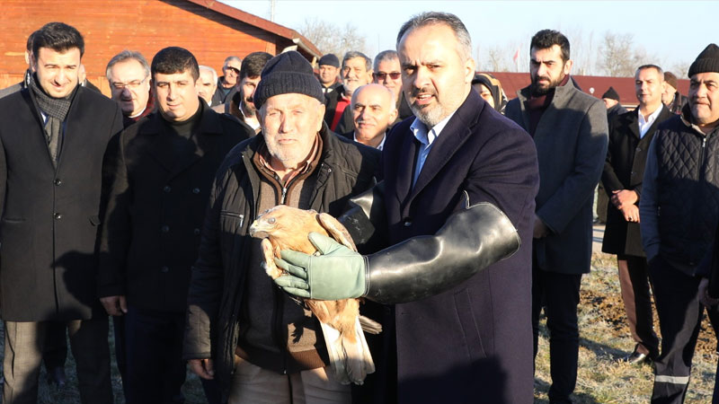 Yaralı şahin özgürlüğüne uçtu 1 şahin