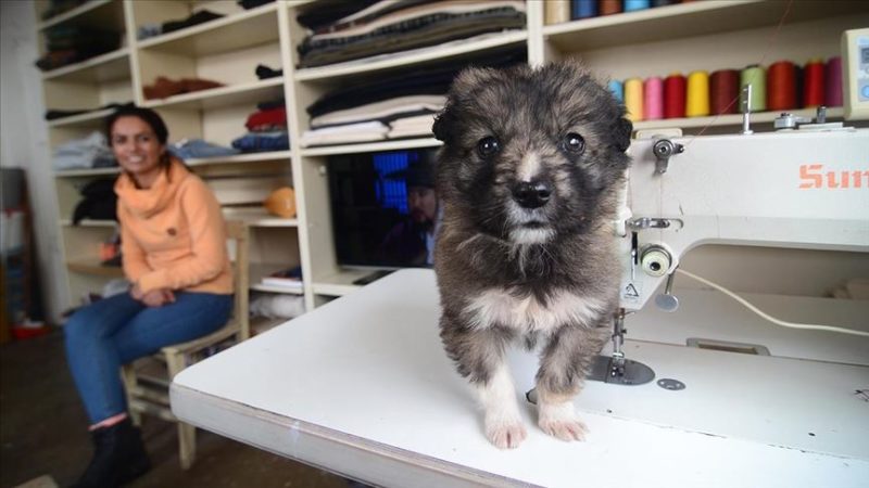 Kış mevsiminin çetin geçtiği Tunceli'nin Ovacık ilçesinde yaşayan terzi İsmail