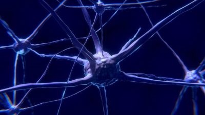 Parkinson’a erken yaşta yakalananların beyin hücreleri doğuştan hasarlı olabilir