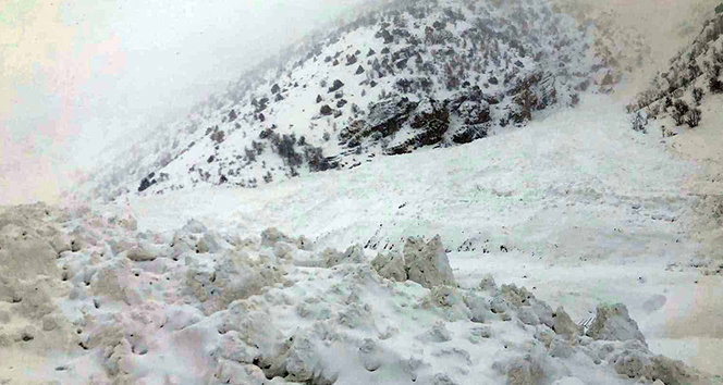 Van’da çığ düştü Van’da çığ düştü