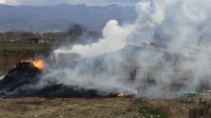 Bursa'nın İnegöl ilçesinde bir çiftlikte çıkan yangında samanlık küle döndü.
